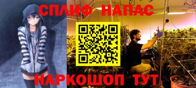 спиды Славгород